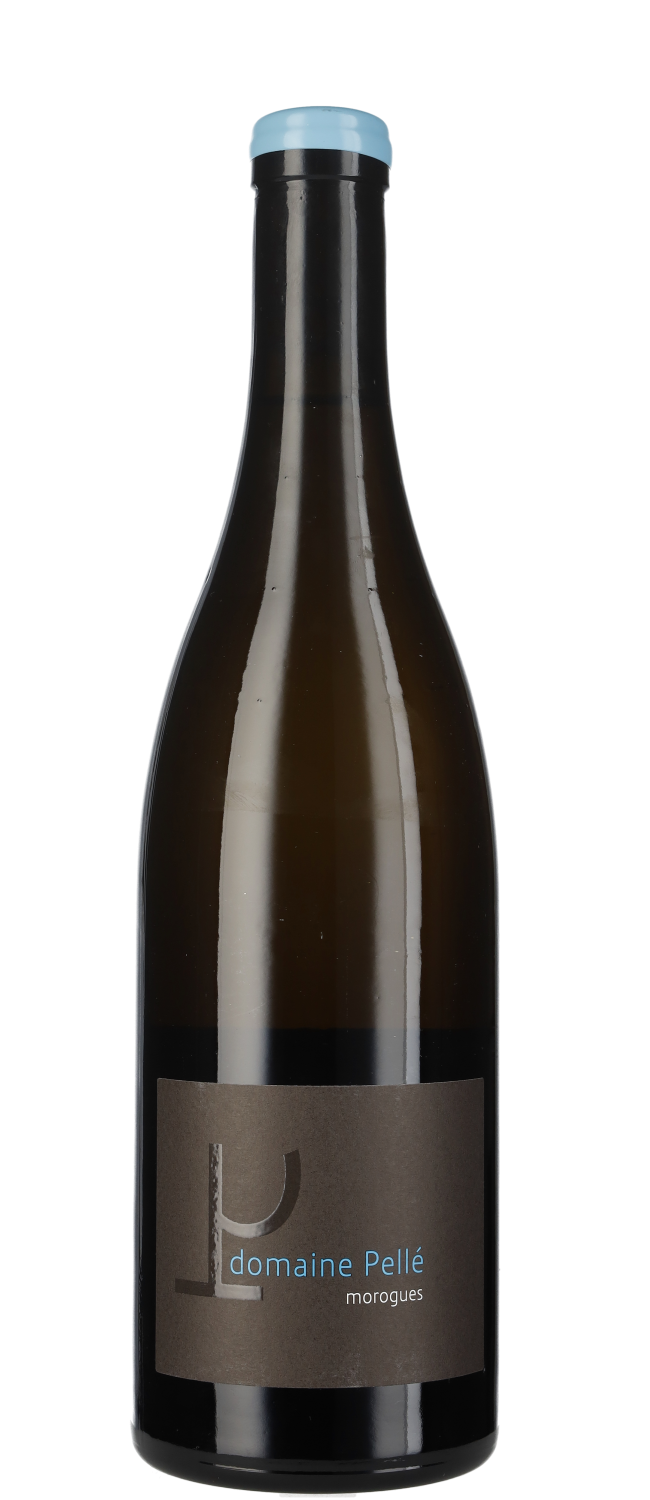 Domaine Pelle Morogues Menetou Salon